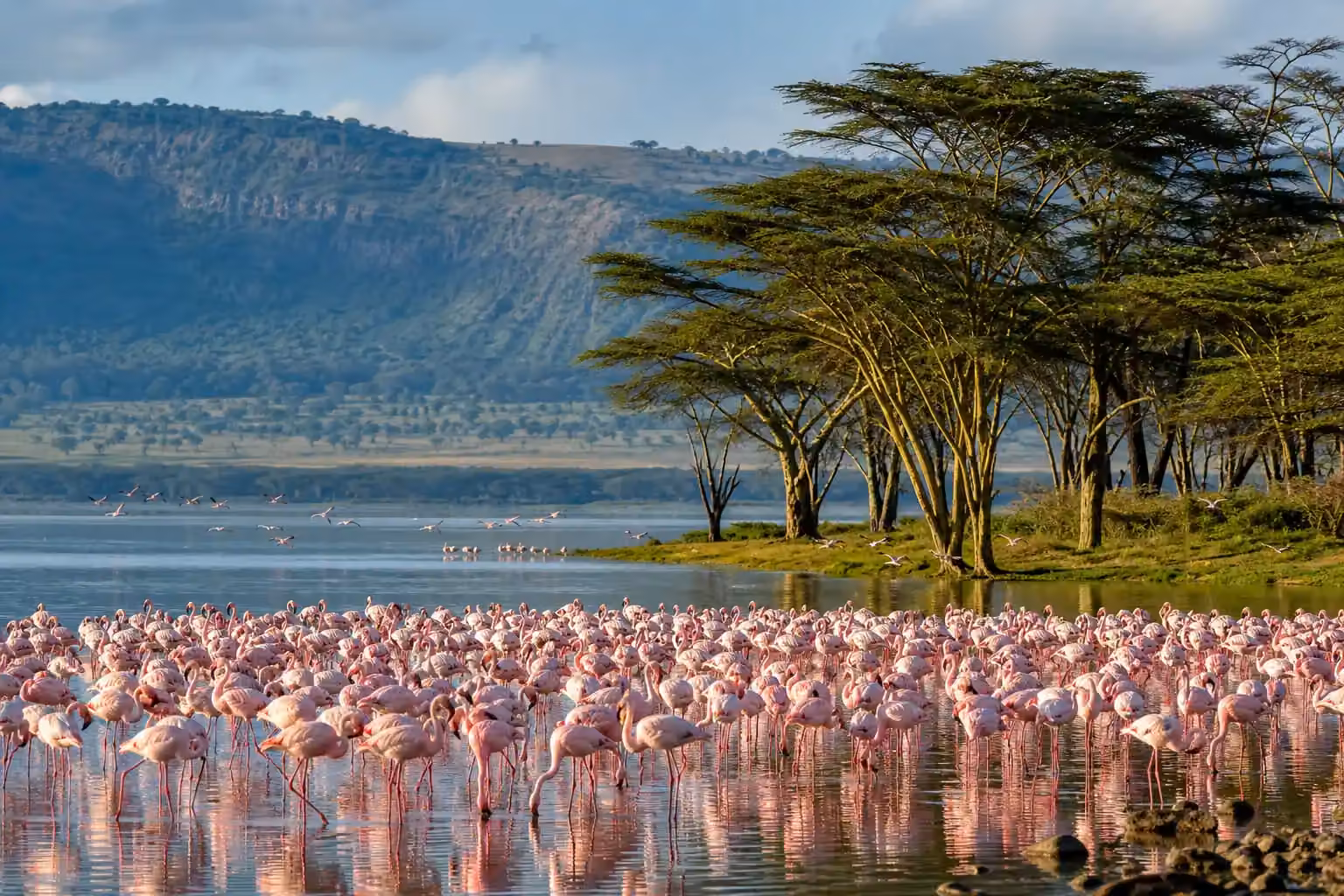 Lake Nakuru and Naivasha Safari