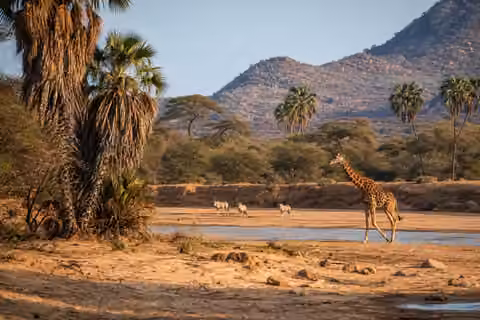 Samburu Adventure Safari