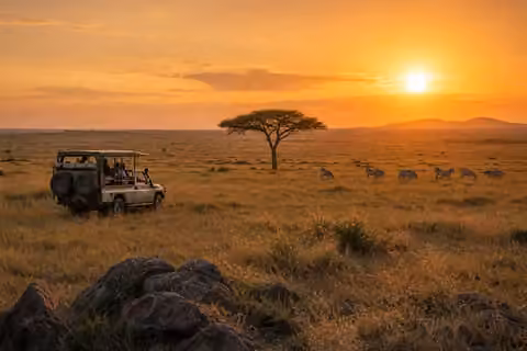 Private Kenya safari with a local guide